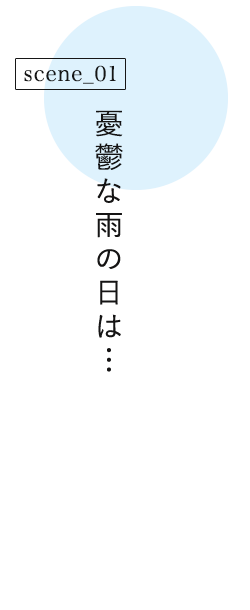 �J�T�ȉJ�̓��́c