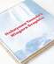 Nakayama Yasushi�fs Niagara Graphics