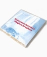 Nakayama Yasushi�fs Niagara Graphics ���̑�