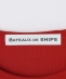 BATEAUX DE SHIPS: �|�P�b�g T�V���c