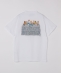 BIG ROCK CANDY MOUNTAINEERING: Granite Groupie T�V���c