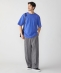 �yWEB����zSHIPS: �}�C�N�� ���b�y�� �t�F�[�h T�V���c