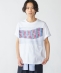 �ySHIPS�ʒ��zNOMARHYTHM TEXTILE: ����ώq �t�H�g T�V���c
