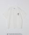�yCAP Exclusive�zREEBOK: CLASSIC LOGO T�V���c