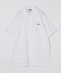 �ySHIPS�ʒ��zLACOSTE: NEW 70's �h���b�v�e�C�� �|���V���c