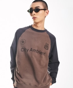 City Ambient Products: ���O�����X���[�u �v�����g �X�E�F�b�g