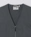 PURPLE MOUNTAIN OBSERVATORY: PROCYON VEST