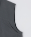 PURPLE MOUNTAIN OBSERVATORY: PROCYON VEST