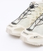 SALOMON: ACS+OG