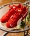 PUMA: SPEEDCAT OG