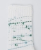 ROSTER SOX:B PAINT