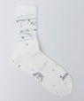ROSTER SOX:B PAINT �z���C�g