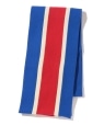 �ySHIPS EXCLUSIVE�zSouthwick: A.E. Clothier School Scarf ���b�h