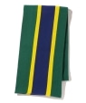 �ySHIPS EXCLUSIVE�zSouthwick: A.E. Clothier School Scarf �O���[��