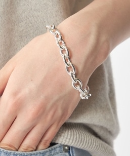 �yWEB����zSHIPS: �V���o�[�R�[�e�B���O �`�F�[�� �u���X���b�g