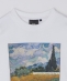 SHIPS Colors:THE MET �R���{ �v�����g �X�E�F�b�g