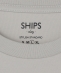 SHIPS Colors:�V���P�b�g �R�b�g�� �N���[�l�b�N ����T