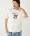 SHIPS Colors:TeddyBear(R) �R���{ T�V���c��