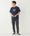 SHIPS Colors:TeddyBear(R) �R���{ T�V���c��
