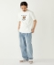 SHIPS Colors:TeddyBear(R) �R���{ T�V���c��