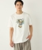 SHIPS Colors:TeddyBear(R) �R���{ T�V���c��