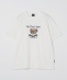 SHIPS Colors:TeddyBear(R) �R���{ T�V���c��