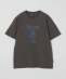 SHIPS Colors:TeddyBear(R) �R���{ T�V���c��