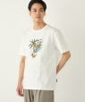SHIPS Colors:TeddyBear(R) �R���{ T�V���c�� �z���C�g�n
