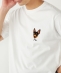 �������݉�×SHIPS:�R���{ �h�J T�V���c��