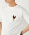 �������݉�×SHIPS:�R���{ �h�J T�V���c��