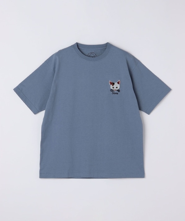 �������݉�×SHIPS:�R���{ �h�J T�V���c��