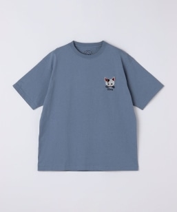 �������݉�×SHIPS:�R���{ �h�J T�V���c��