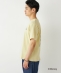 SHIPS Colors:�~�b�L�[�}�E�X �v�����g T