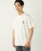SHIPS Colors:Sealtest(R) ICE CREAM �v�����g T�V���c