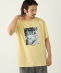 SHIPS Colors:Sealtest(R) ICE CREAM �v�����g T�V���c