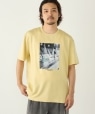 SHIPS Colors:Sealtest(R) ICE CREAM �v�����g T�V���c �C�G���[
