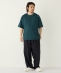 �yWEB����zSHIPS Colors:W�t�F�C�X �j�b�g�� T�V���c��