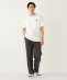 �s�ꕔ�ǉ��E�V�F�\��t�y�ꕔWEB����zSHIPS Colors:TR �e�[�p�[�h ���C�h �p���c��