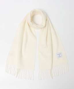 �s�ꕔ�ǉ��E�V�F�\��t�y�ꕔWEB����z�J�V�~�� 100% �}�t���[��