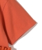SHIPS Colors:�q��􂢉\�r�h�b�L���O �y�v���� �V���[�g�X���[�u �g�b�v�X��