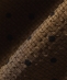 �s�\��tSHIPS Colors:�q����@�\�r�T�b�J�[ �h�b�g �M���U�[ ���C�h�p���c��