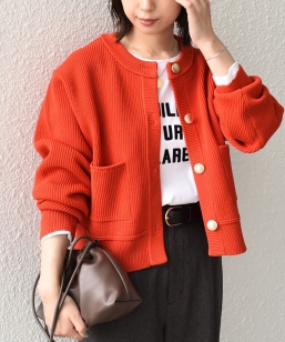 �s�\��tSHIPS Colors:�q��􂢉\�r�Ќl ���^�� �{�^�� �J�[�f�B�K����