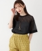 SHIPS Colors:�q��􂢉\�r�V�A�[ �j�b�g TEE