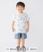 SHIPS Colors:�q����@�\�r80�`130cm / ���[���� �v�����g �V���c