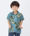 SHIPS Colors:�q����@�\�r���[���� �v�����g �V���c(80�`130cm)