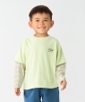 SHIPS Colors: 80�`130cm / ���C���[�h �v�����g ����T�� ���C�g�O���[��