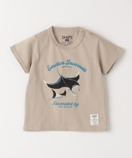 SHIPS Colors:80�`130cm / �p�b�`���[�N �h�J T�V���c