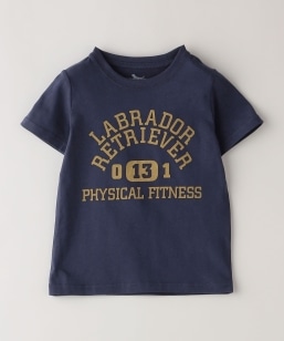 SHIPS Colors: Labrador Retriever �R���{T�V���c(80�`130cm)
