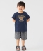 SHIPS Colors:80�`150cm / TeddyBear(R) �R���{ T�V���c��