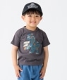SHIPS Colors:80�`130cm / �q�ڐG�⊴�r�e�B���m�T�E���X T�V���c�� �_�[�N�O���[